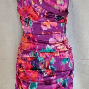Express Rushed Mini Silk Dress